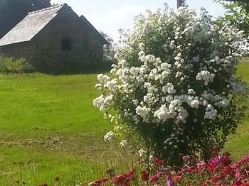 Bed & Breakfast Manoir De La Branche