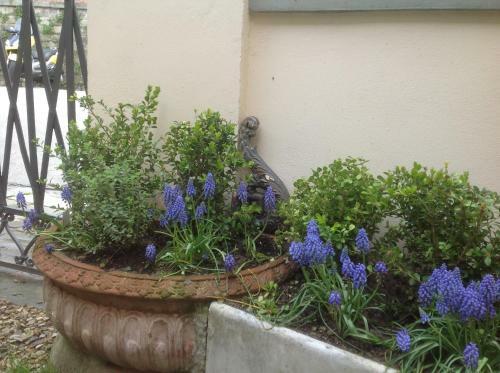 Hostal Al Giardino Delle Rose