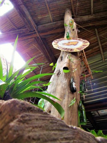 Villa Hotel Casa Tarzan