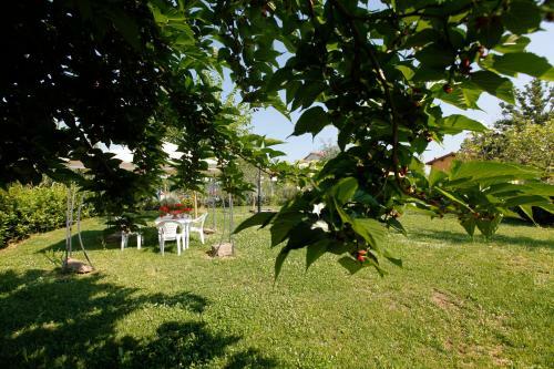 Casa Vacanza Podere Chiantini