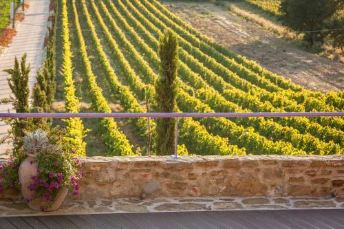 Agroturismo Villa Cilnia Relais & Spa