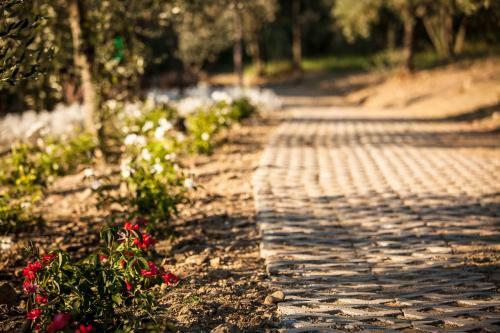 Agroturismo Villa Cilnia Relais & Spa
