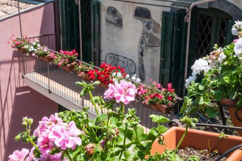 Agroturismo Antico Borgo Agriturismo