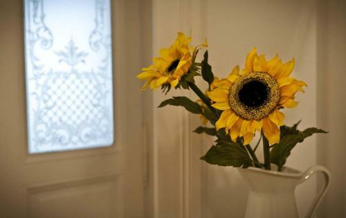 Apartamento Domus Liberta