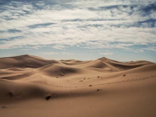 Bivouac Chegaga Le Pacha