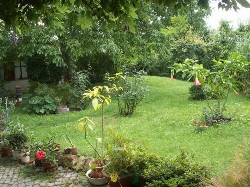 Hostal Dresdner H�he