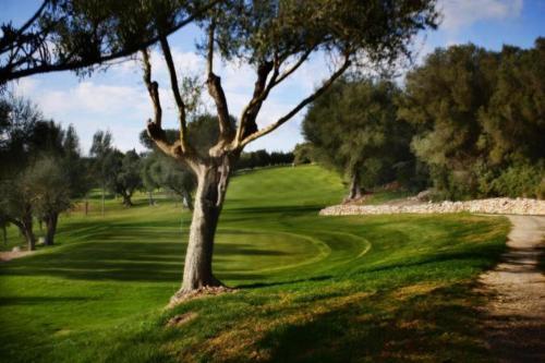Agroturismo Finca Es Mayolet