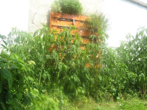 L'atelier De Campagne Aux Aires En Sc�nes