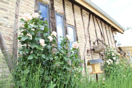 L'atelier De Campagne Aux Aires En Sc�nes