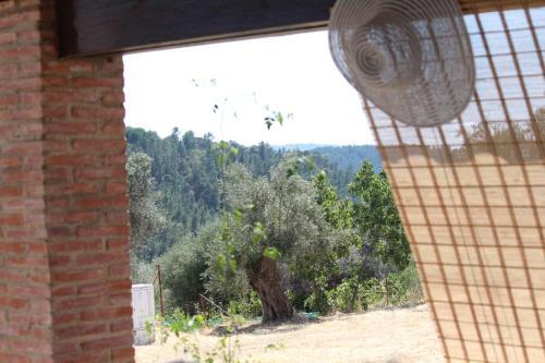 Agroturismo Casas Rurales Los Montes