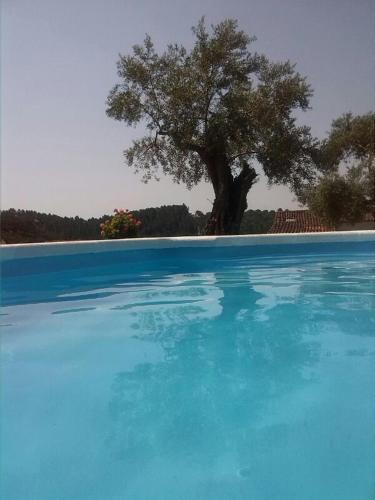 Agroturismo Casas Rurales Los Montes