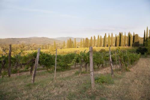 Agroturismo Tenuta Lupinari