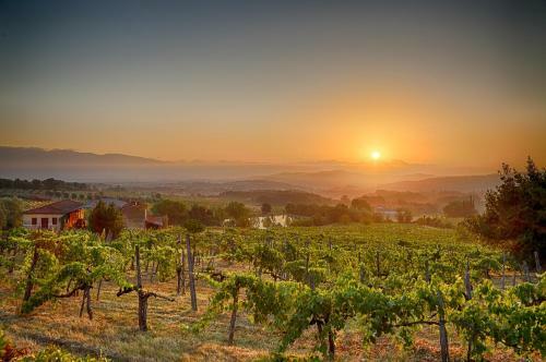 Agroturismo Tenuta Lupinari