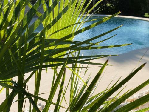 Bed & Breakfast Chambres D'h�tes Le Cartounier