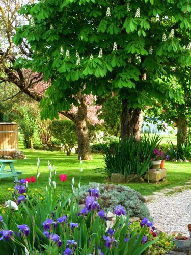 Bed & Breakfast Chambres D'h�tes Le Cartounier