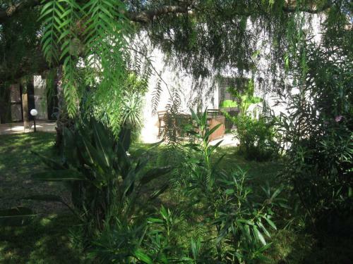 Apartamento Residence Ficomoro