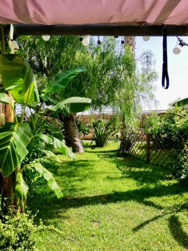 Apartamento Residence Ficomoro