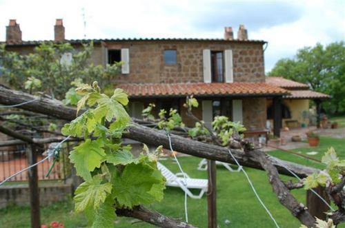 Hostal Poggio Dell'olivo