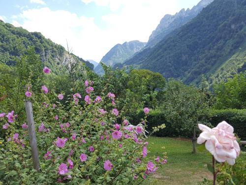Hostal Chambres D'h�tes Pouquette