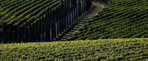 Agroturismo Poggio Al Casone