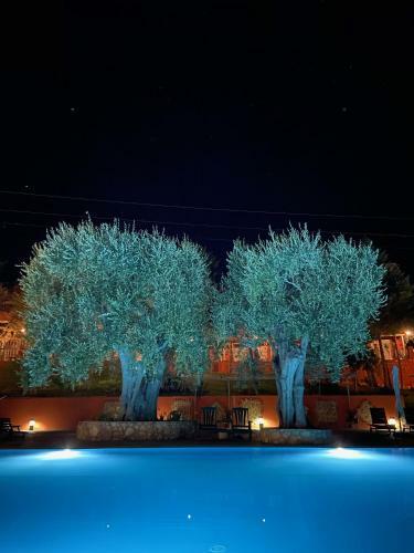 Hotel Resort Poggio Degli Ulivi