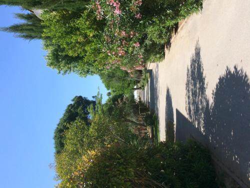 Hotel L'h�tel Du M�diterran�e
