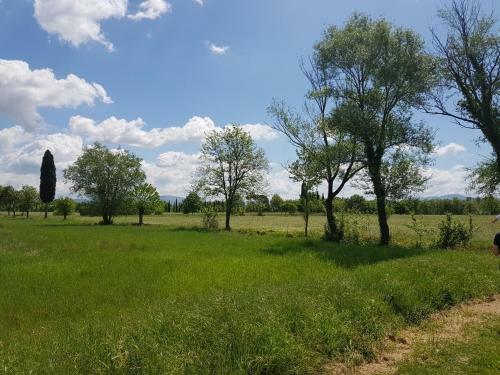 Agroturismo Podere Buriano
