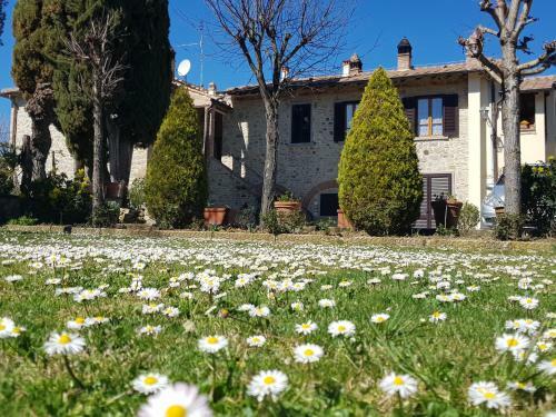 Agroturismo Podere Buriano
