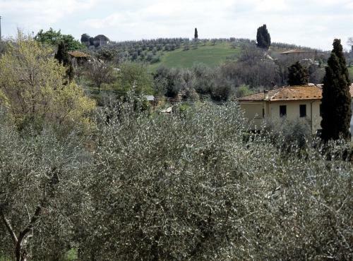 Agroturismo Casale Oliveta