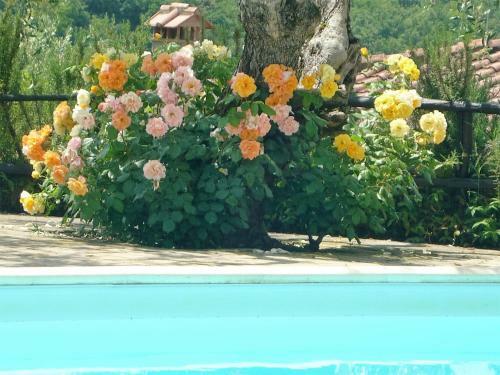 Agroturismo Casale Oliveta