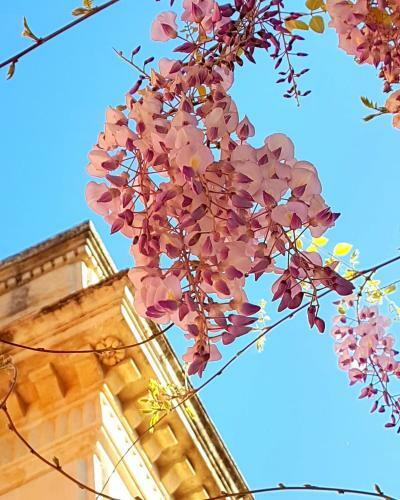 Bed & Breakfast Villa Maggiulli Alfieri - Dimora Storica
