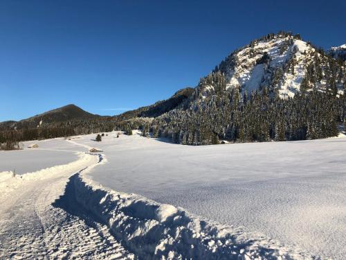 Hostal Gasthof Seeklause