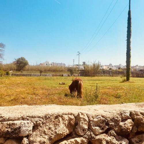 Villa Messapia - Santa Maria Di Leuca