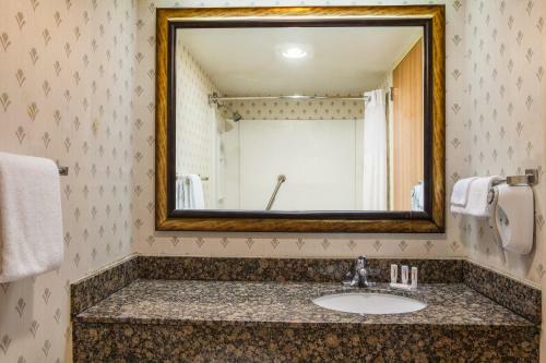Motel Quality Inn & Suites Sherman