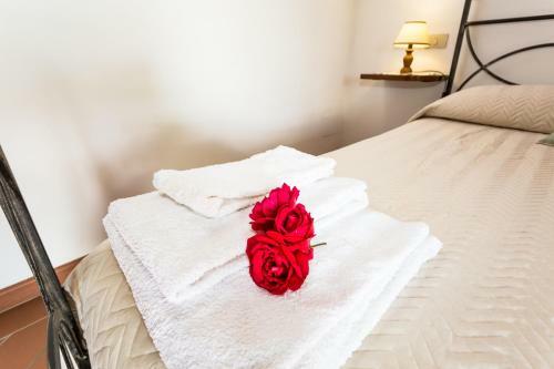Agroturismo Villa Di Sotto