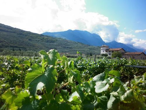 Apartamento Residence La Colombera