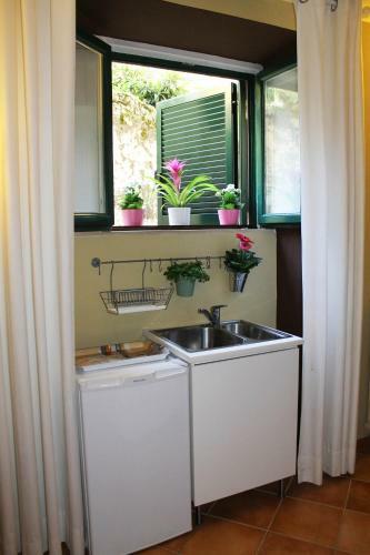 B&B Bouganville