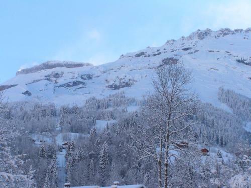 Chalet Narcisse