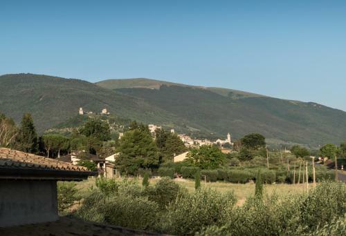 Bed & Breakfast Al Pian D'assisi