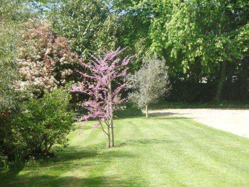 Apartamento Manoir De Moncan