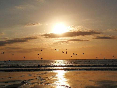 Hotel & Villas Tanger�