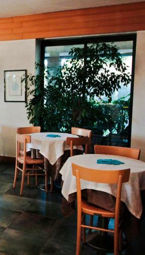 Hotel Canturio