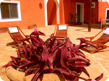 Hotel A Cannata