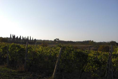 Agroturismo Tenuta Santagnese