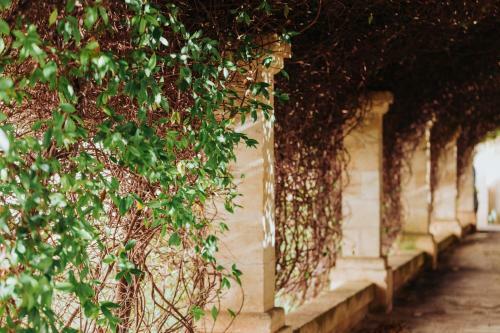 Agroturismo Masseria Ancella