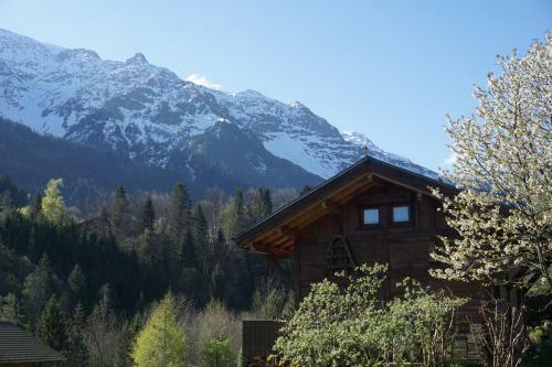 Chalet Ind�pendant " L'anfian-ne"