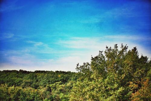 Apartment Bonheur & Boh�me