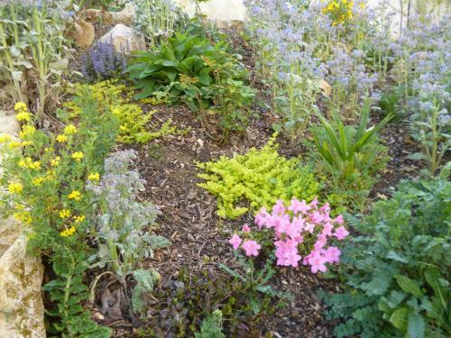Bed & Breakfast Chambres D'h�tes Le Bourdieu