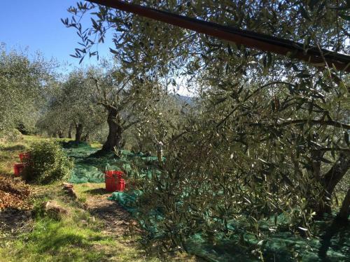 Apartamento Casa Vacanze Bungalow I Girasoli
