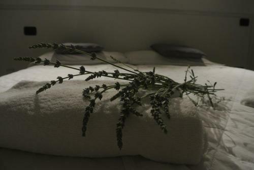 Agroturismo Agritur Stefenelli
